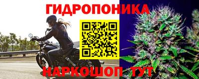 амф Лесосибирск